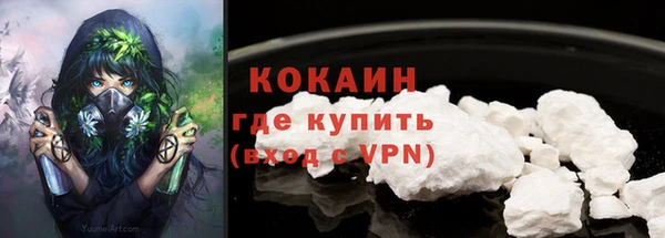 мдпв Бикин