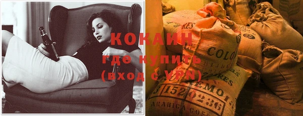 стафф Михайлов
