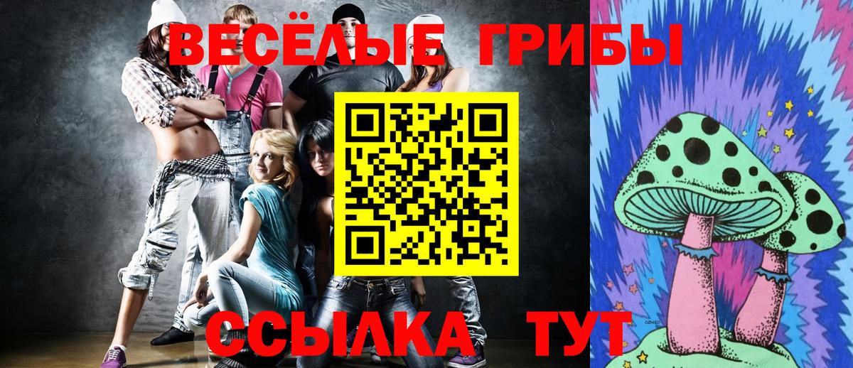 Псилоцибиновые грибы ЛСД Канск